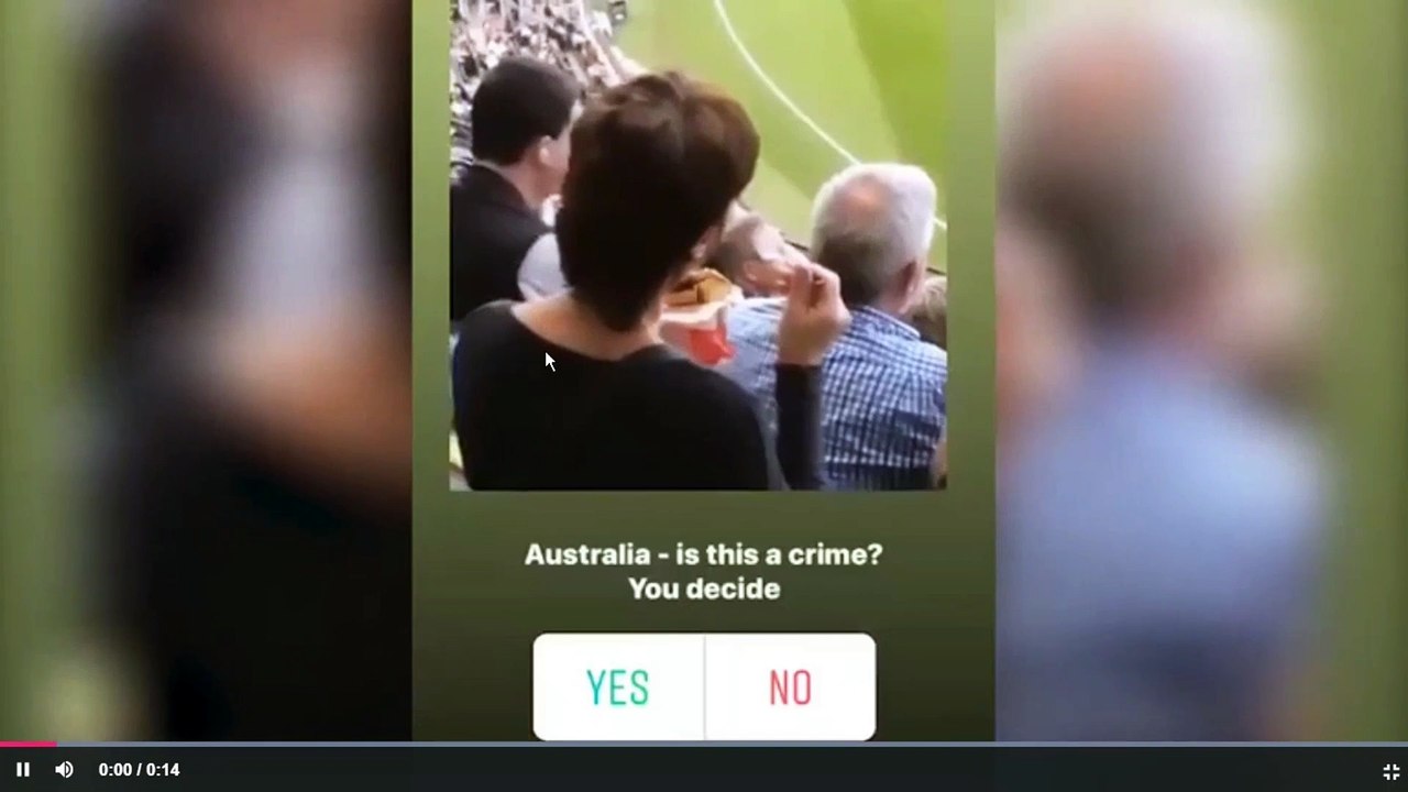 Woman cops flack on social media for eating meat pie with a fork at MCG