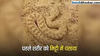 इस फोटो में छुपा है कुछ बेहद खतरनाक, जानने के लिए देखें वीडियो