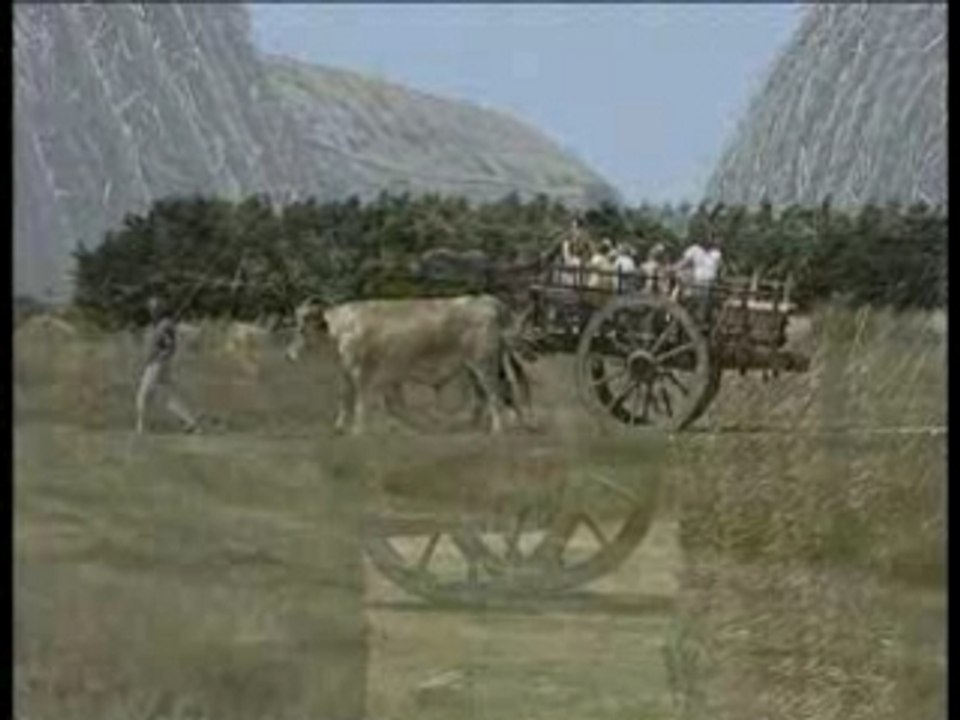 Le Marais - Saint jean de monts