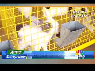 खरगोश कराएगा अच्छी कमाई