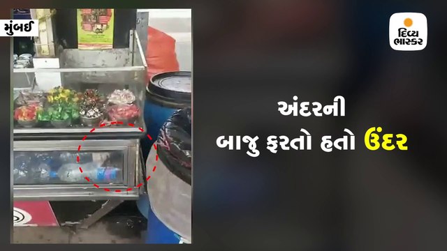 રેલવે ફૂડ સ્ટોલમાં જોવા મળ્યો ઉંદર, અધિકારીઓએ કરી આવી સજા