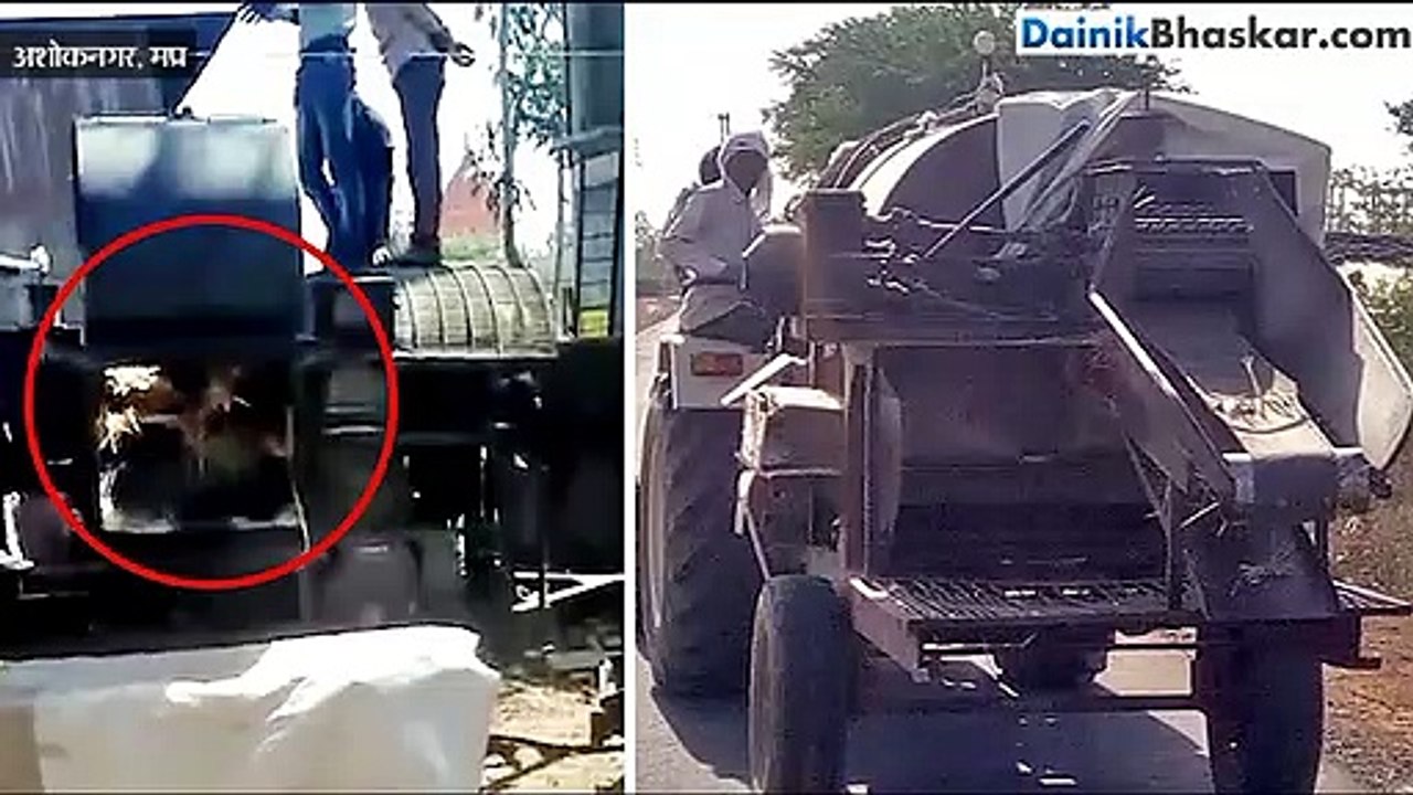 चलते थ्रेसर में शख्स ने की ऐसी गलती कि खुद के ह...