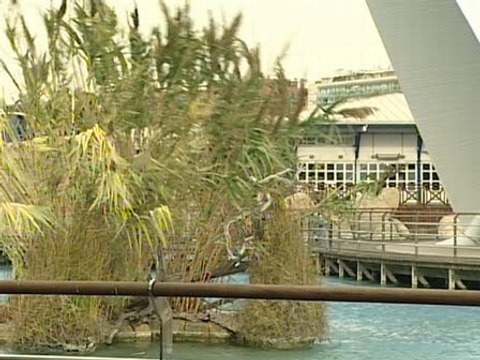 Fuertes rachas de viento en Valencia