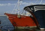 La Unión Europea rompe el acuerdo de pesca con Marruecos