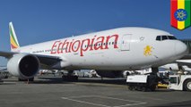 Sistem anti jatuh diaktifkan di 737 pesawat Ethiophia  - TomoNews