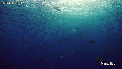 사천출장안마 -#P# 후불100%ョ【Ø7Ø↔7575↔0062 카톡OYO78】사천전지역출장마사지사천출장안마사천출장마사지'여대생ョ▣출장오피걸출장모텔