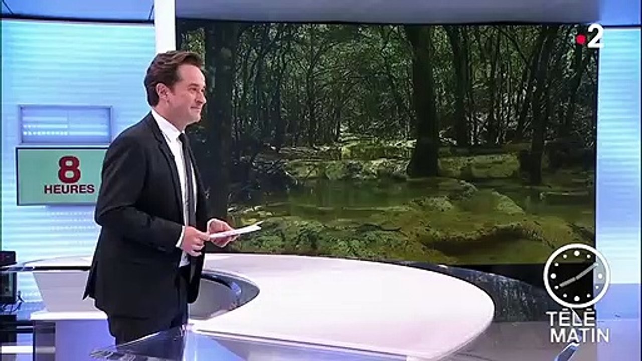 Var : un site protégé envahi par les touristes après la diffusion de photos sur Facebook
