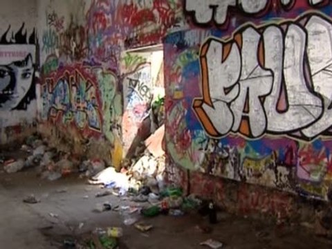 Detenidos los presuntos vendedores de estramonio