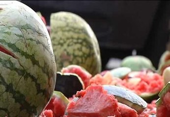 Melones y sandías por el suelo