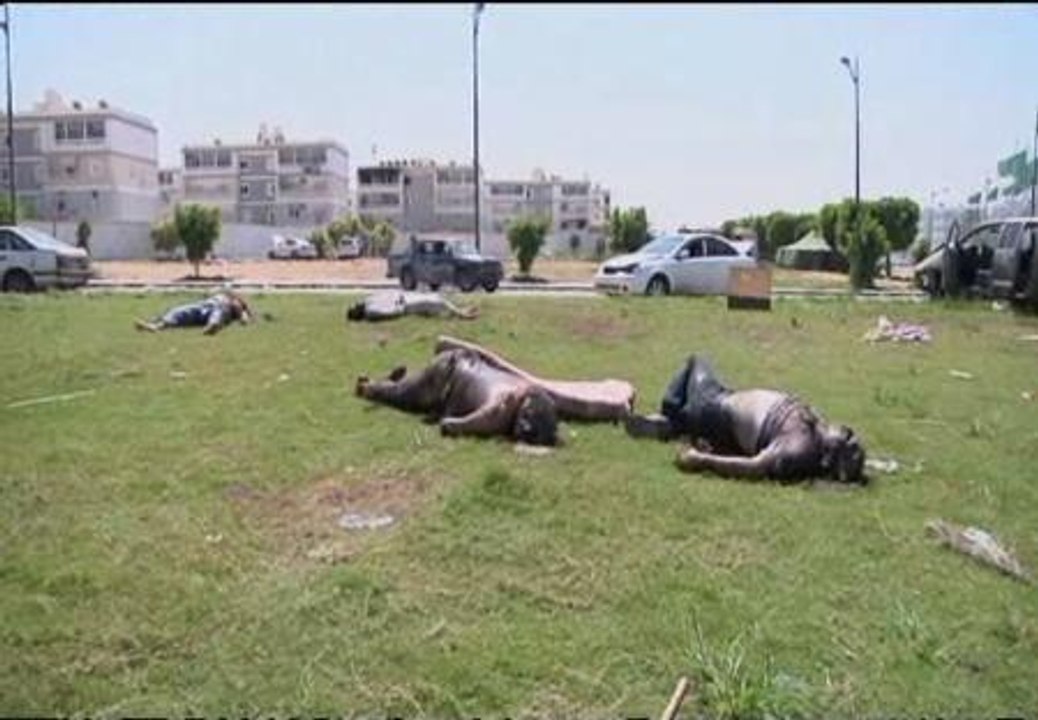 Asesinados más de 30 combatientes leales a Gadafi