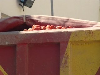 Todo está preparado para celebrar la Tomatina