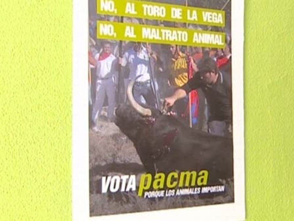 PACMA denuncia "maltrato" en los encierros