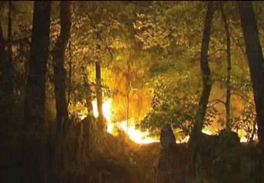 Controlado el incendio de Orense