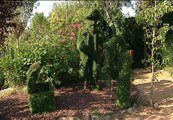 Un diseñador crea un jardín escultórico con especies botánicas en Madrid
