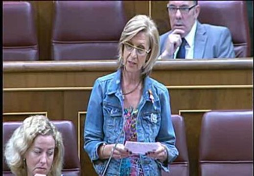 Rosa Díez : Es el vicerresponsable primero de haber creado esta crisis política y económica