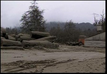 La ceniza chilena cubre también Argentina