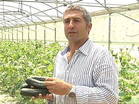 Cultivadores piden respeto para las hortalizas