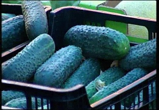 Austria y Alemania retiran del mercado pepinos, berenjenas y tomates españoles