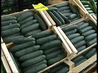 "las ventas del pepino se han parado"