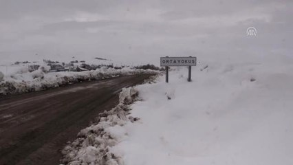 Kar Panterleri" Seçim Günü Yolları Açık Tutmak İçin Uğraştı