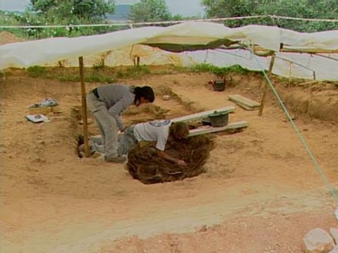 Hallada otra fosa común de la guerra civil