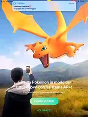 #Magikarp IV 100  CP251 L34 #POKEMONGO