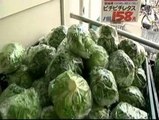 Radiactividad en los alimentos nipones