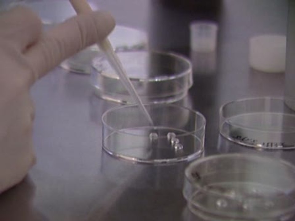 Primer bebé que nace libre de mutación hereditaria