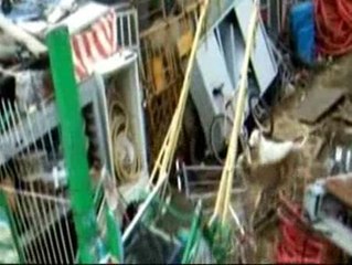 Un chatarrero maltrata a decenas de animales