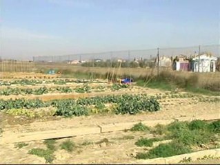 Minihuertos ecológicos en Zaragoza
