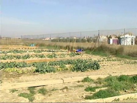 Minihuertos ecológicos en Zaragoza