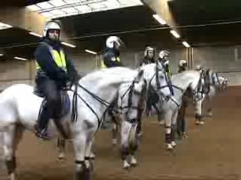 Los caballos de la Policía Nacional en el derby Real Madrid-Atlético de Madrid