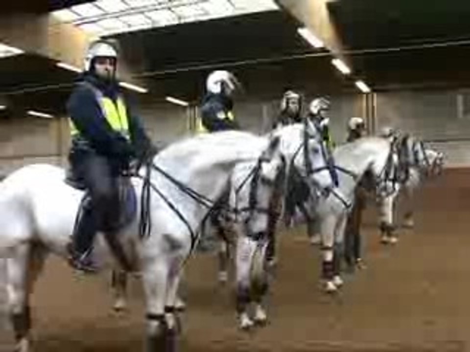 Los caballos de la Policía Nacional en el derby Real Madrid-Atlético de Madrid