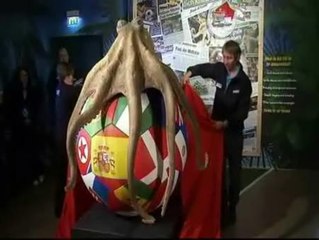 "In memoriam" del pulpo Paul