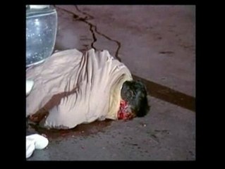 Asesinado tras un mes en el cargo