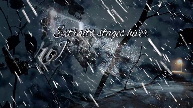 Extraits stages aquarelle ambiances de neige Jura oriental hiver, mars 2019