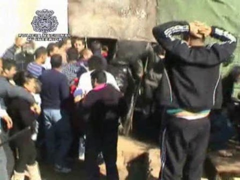 Policía frustra una gran pelea de gallos