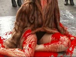 "No al maltrato animal"