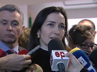 González-Sinde, "satisfecha" con decisión de la Academia