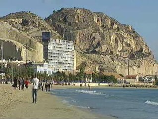 Primavera en pleno mes de enero