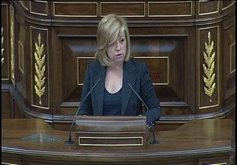 Valenciano dice que Wert tiene "nostalgia de la escuela de su infancia"