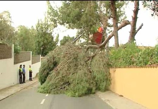 LAS ISLAS CANARIAS EN ALERTA POR FUERTES VIENTOS E INTENSAS LLUVIAS