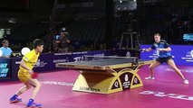 Tomokazu Harimoto vs Mattias Falck | 2019 ITTF Qatar Open Highlights (1/4)