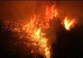 Bomberos turcos combaten un incendio forestal junto a la frontera con Siria