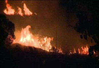 Continúa el incendio en el muncipio de Ponferrada