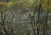 Un incendio en Tiana, Barcelona, quema 1,5 hectáreas
