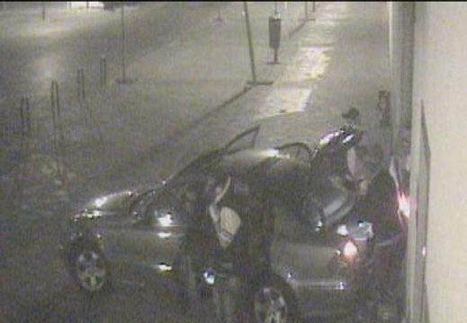 Detenidos los tres miembros de la banda más activa de aluniceros este verano