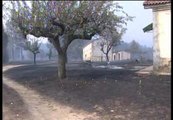 El incendio de Castrocontrigo en León ya ha calcinado más de 8.000 hectareas