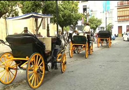 Los cocheros de Sevilla son multados con 200 euros si paran en zonas no autorizadas