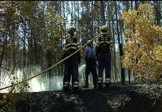 Controlado un incendio declarado hoy en Valldeviá, Girona
